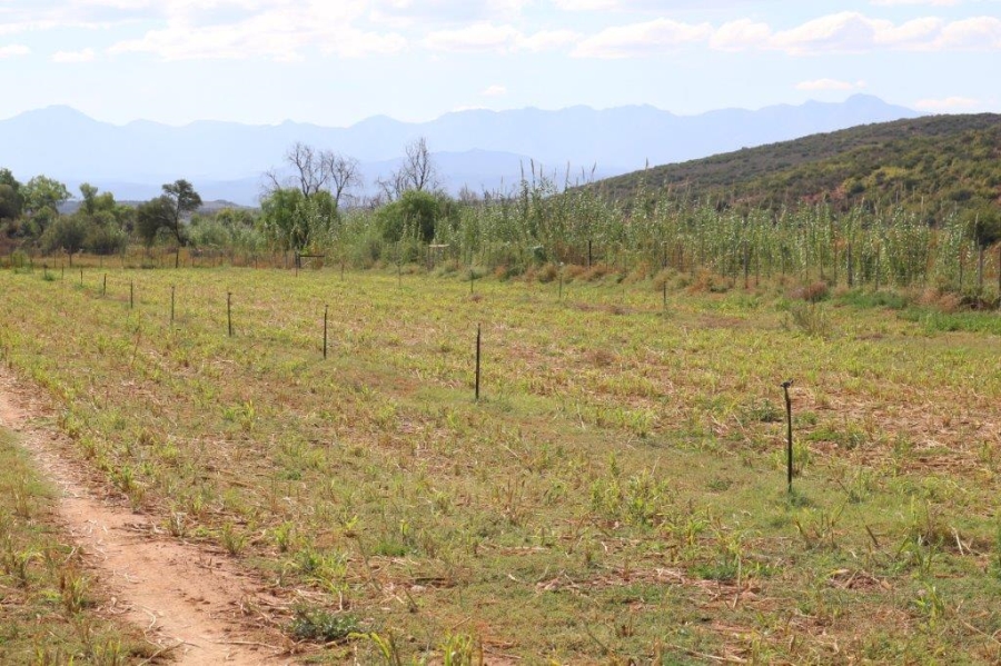 Commercial Property for Sale in Oudtshoorn Rural Western Cape